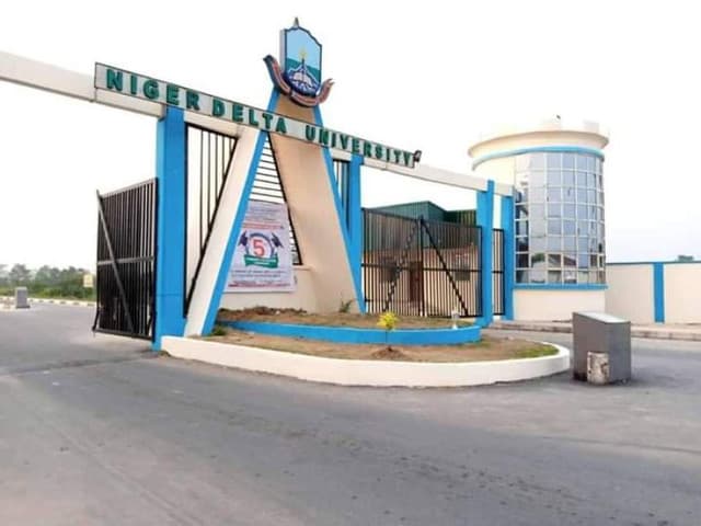 An overview of NDU university
